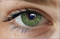 Love shine green NEW с диоптриями