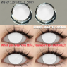 Blind white
