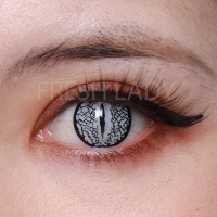 Lizard eye silver